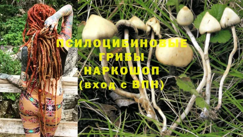 Псилоцибиновые грибы MAGIC MUSHROOMS  гидра ТОР  Дегтярск 